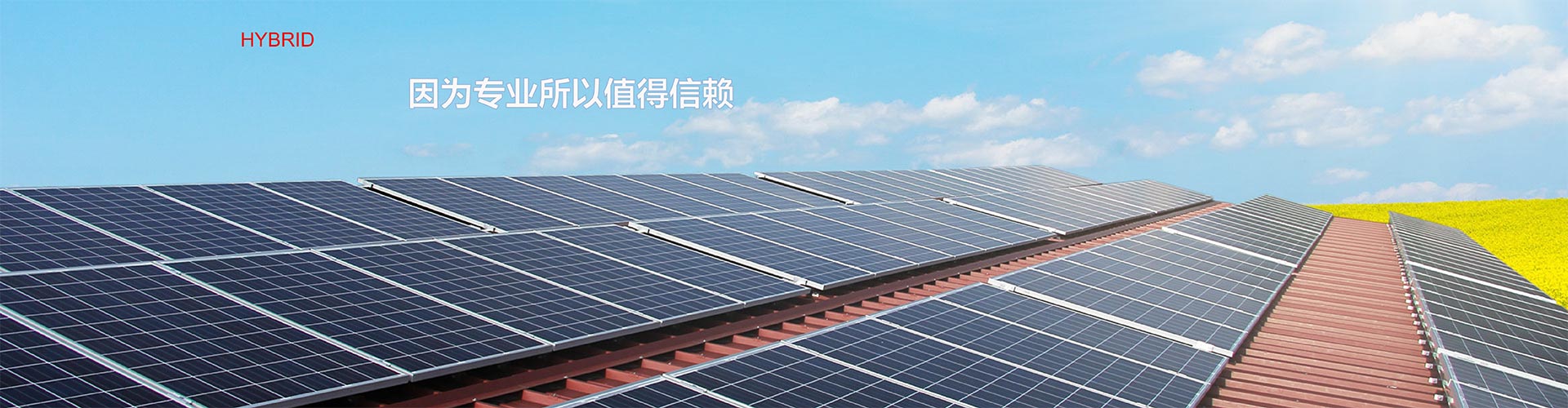 通栏图片